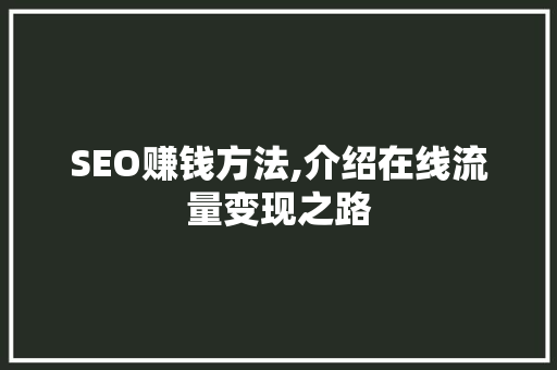 SEO赚钱方法,介绍在线流量变现之路  第1张