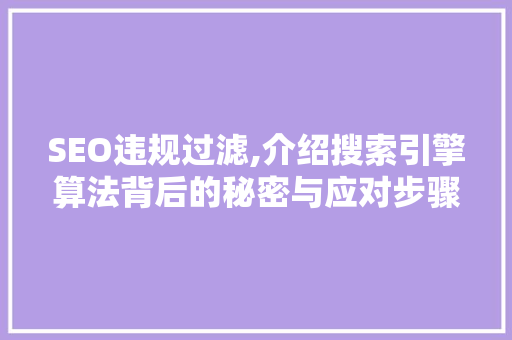 SEO违规过滤,介绍搜索引擎算法背后的秘密与应对步骤