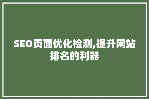 SEO页面优化检测,提升网站排名的利器