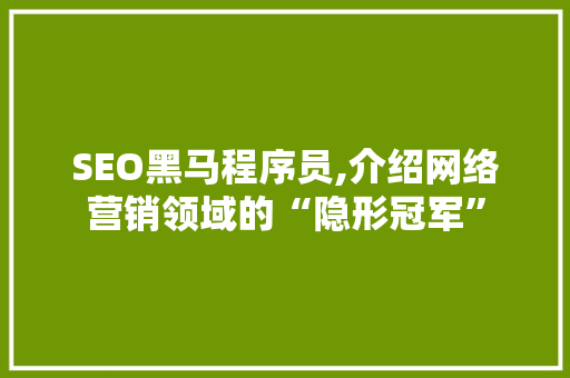 SEO黑马程序员,介绍网络营销领域的“隐形冠军”