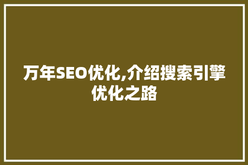 万年SEO优化,介绍搜索引擎优化之路