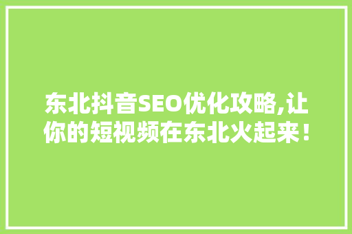 东北抖音SEO优化攻略,让你的短视频在东北火起来！
