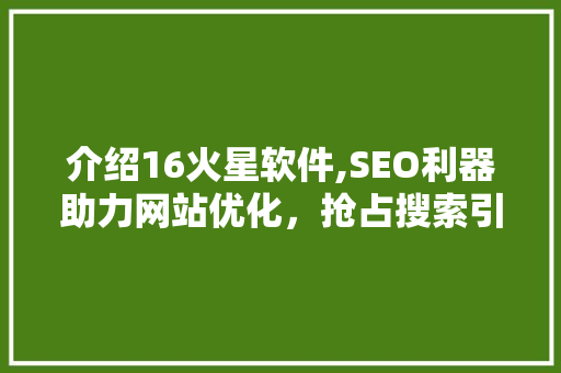 介绍16火星软件,SEO利器助力网站优化，抢占搜索引擎流量高地
