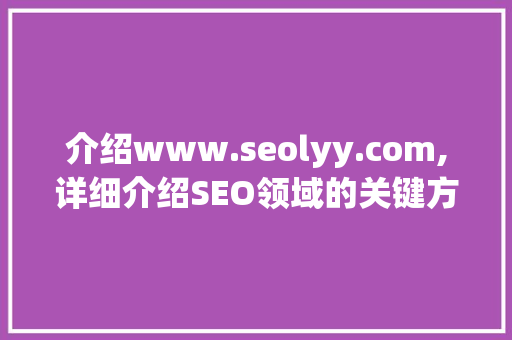 介绍www.seolyy.com,详细介绍SEO领域的关键方法与应用