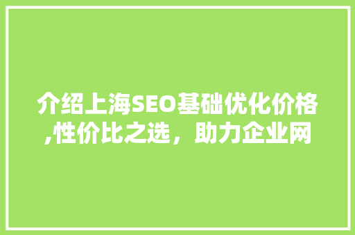 介绍上海SEO基础优化价格,性价比之选，助力企业网站排名攀升