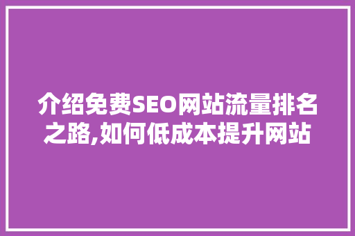 介绍免费SEO网站流量排名之路,如何低成本提升网站流量