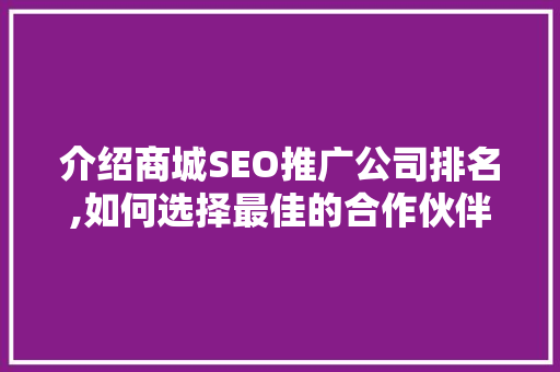 介绍商城SEO推广公司排名,如何选择最佳的合作伙伴助力电商腾飞