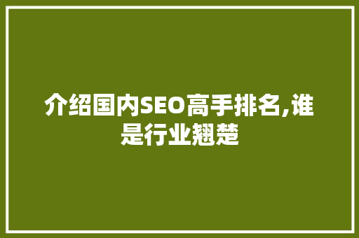 介绍国内SEO高手排名,谁是行业翘楚