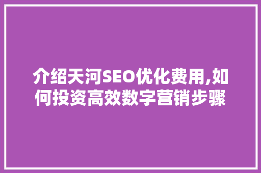 介绍天河SEO优化费用,如何投资高效数字营销步骤