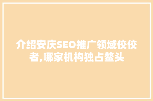 介绍安庆SEO推广领域佼佼者,哪家机构独占鳌头