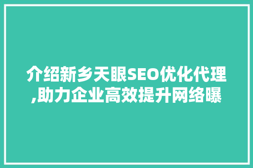 介绍新乡天眼SEO优化代理,助力企业高效提升网络曝光度