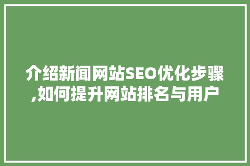 介绍新闻网站SEO优化步骤,如何提升网站排名与用户体验  第1张