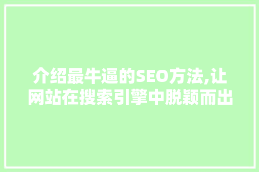 介绍最牛逼的SEO方法,让网站在搜索引擎中脱颖而出  第1张