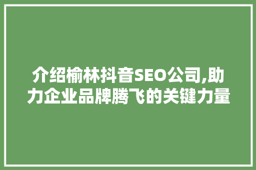 介绍榆林抖音SEO公司,助力企业品牌腾飞的关键力量