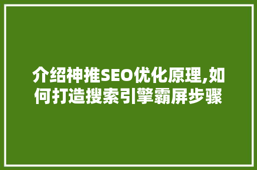 介绍神推SEO优化原理,如何打造搜索引擎霸屏步骤  第1张