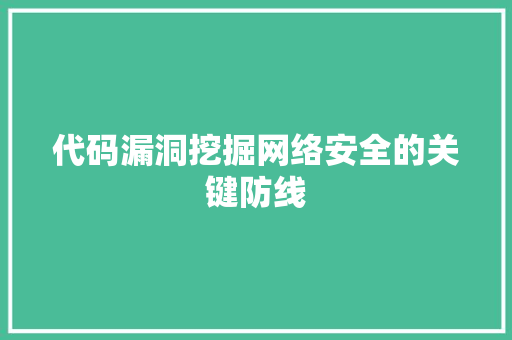 代码漏洞挖掘网络安全的关键防线