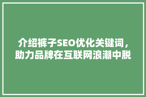 介绍裤子SEO优化关键词，助力品牌在互联网浪潮中脱颖而出