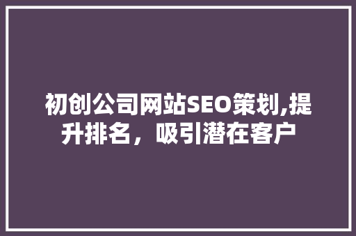 初创公司网站SEO策划,提升排名，吸引潜在客户