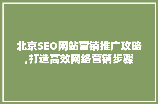 北京SEO网站营销推广攻略,打造高效网络营销步骤