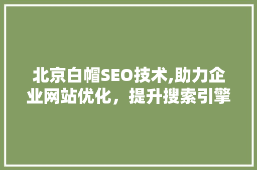 北京白帽SEO技术,助力企业网站优化，提升搜索引擎排名