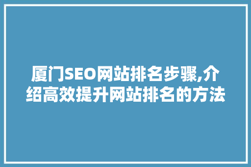 厦门SEO网站排名步骤,介绍高效提升网站排名的方法