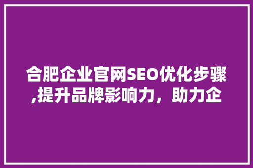 合肥企业官网SEO优化步骤,提升品牌影响力，助力企业腾飞
