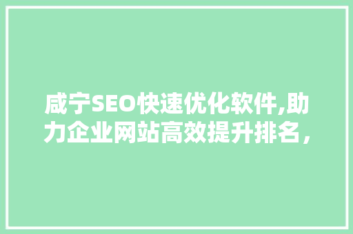 咸宁SEO快速优化软件,助力企业网站高效提升排名，抢占市场先机