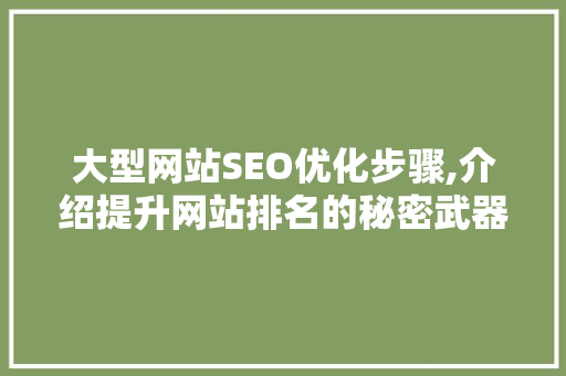 大型网站SEO优化步骤,介绍提升网站排名的秘密武器