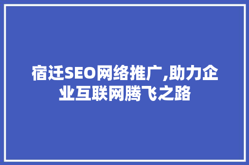 宿迁SEO网络推广,助力企业互联网腾飞之路