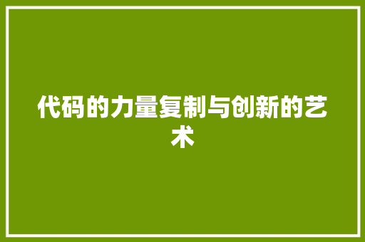 代码的力量复制与创新的艺术