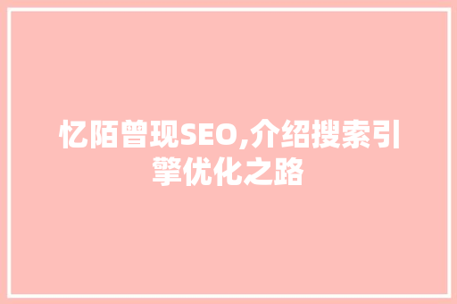 忆陌曾现SEO,介绍搜索引擎优化之路