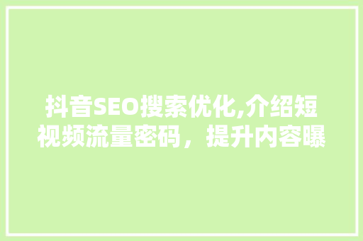 抖音SEO搜索优化,介绍短视频流量密码，提升内容曝光度