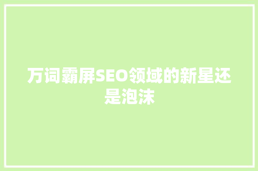 万词霸屏SEO领域的新星还是泡沫