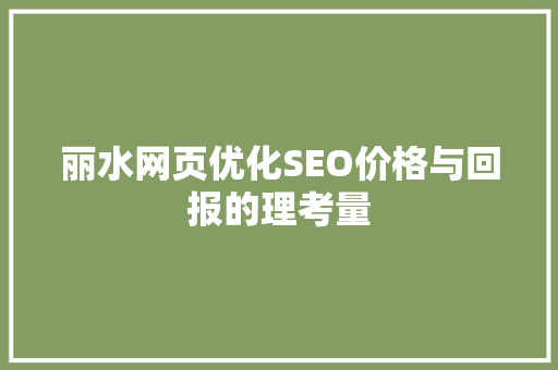丽水网页优化SEO价格与回报的理考量
