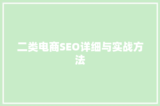 二类电商SEO详细与实战方法
