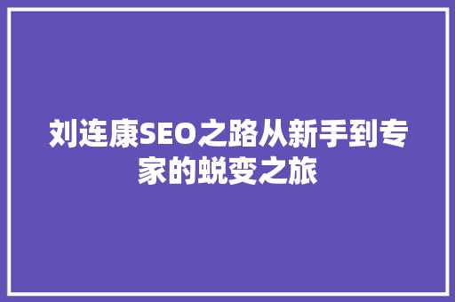 刘连康SEO之路从新手到专家的蜕变之旅