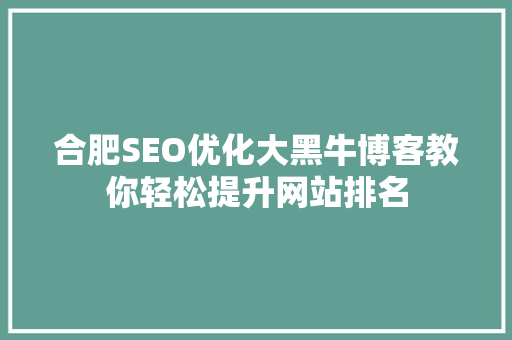 合肥SEO优化大黑牛博客教你轻松提升网站排名