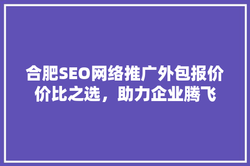 合肥SEO网络推广外包报价价比之选，助力企业腾飞
