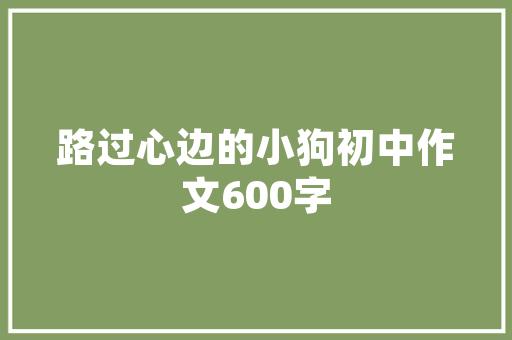 供货方代码背后的秘密供应链中的神秘纽带