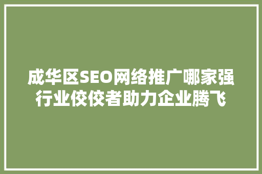 成华区SEO网络推广哪家强行业佼佼者助力企业腾飞