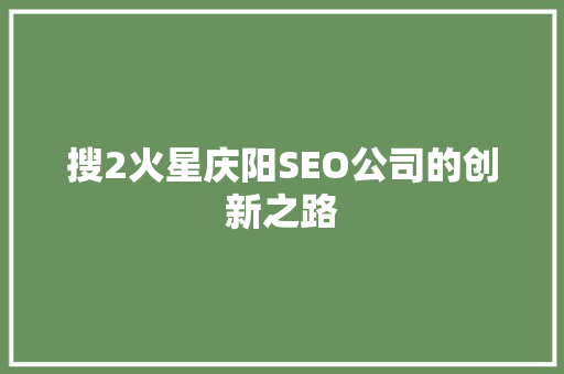 搜2火星庆阳SEO公司的创新之路