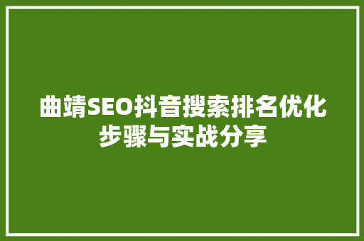 曲靖SEO抖音搜索排名优化步骤与实战分享