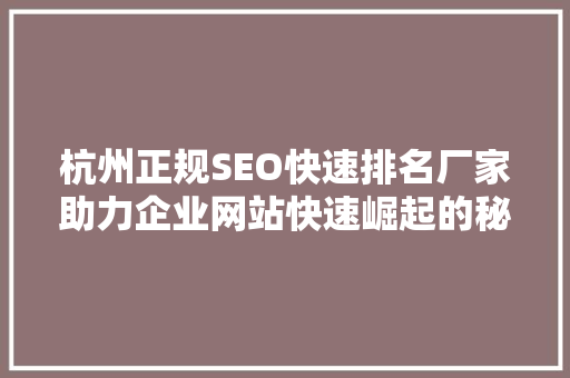杭州正规SEO快速排名厂家助力企业网站快速崛起的秘密武器  第1张