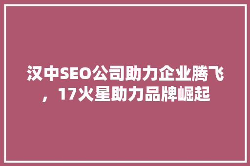 汉中SEO公司助力企业腾飞，17火星助力品牌崛起