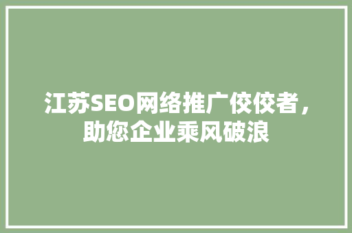 江苏SEO网络推广佼佼者，助您企业乘风破浪