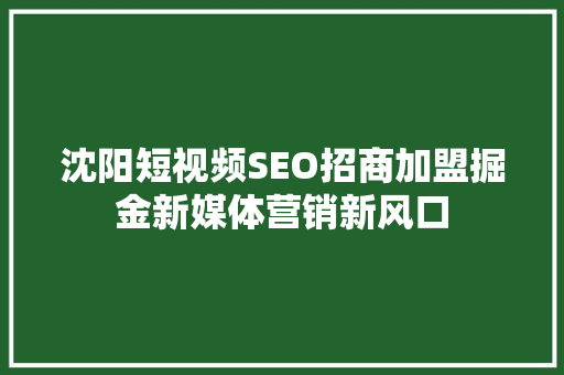 沈阳短视频SEO招商加盟掘金新媒体营销新风口