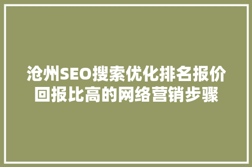 沧州SEO搜索优化排名报价回报比高的网络营销步骤