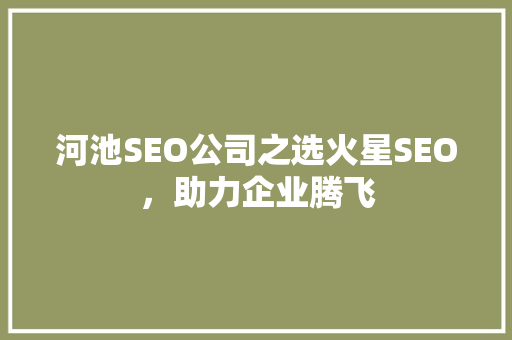 河池SEO公司之选火星SEO，助力企业腾飞