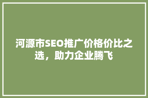 河源市SEO推广价格价比之选，助力企业腾飞