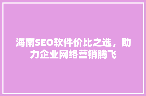 海南SEO软件价比之选，助力企业网络营销腾飞